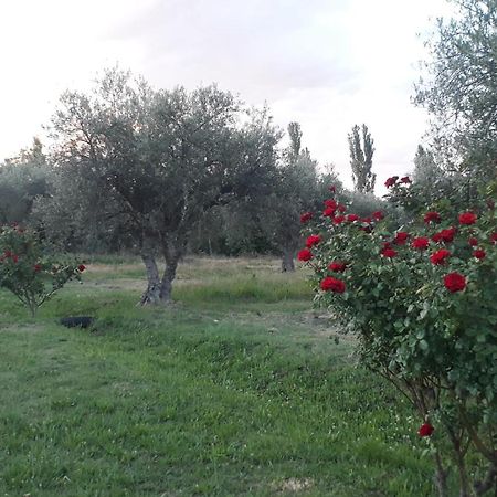 Casa De Campo Las Olivas San Rafael  Zewnętrze zdjęcie
