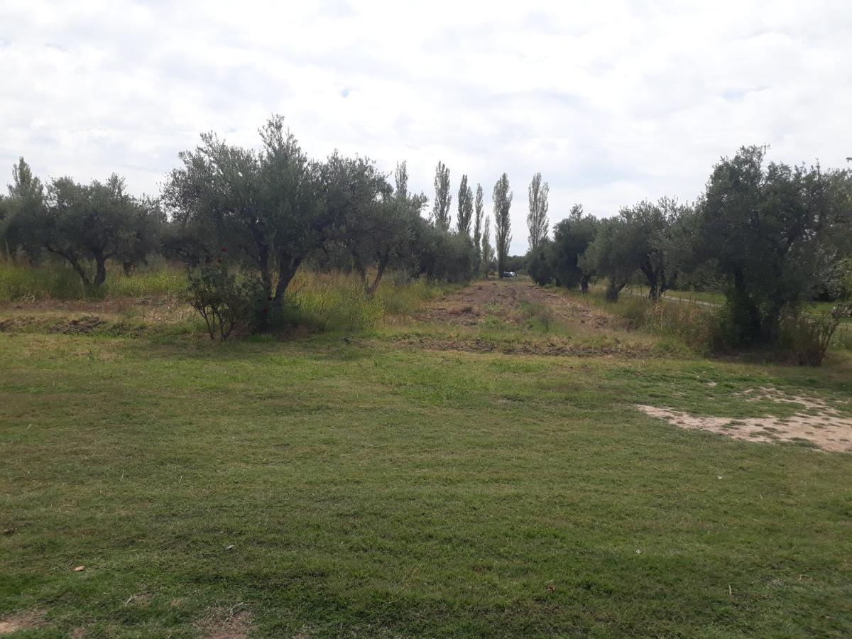 Casa De Campo Las Olivas San Rafael  Zewnętrze zdjęcie