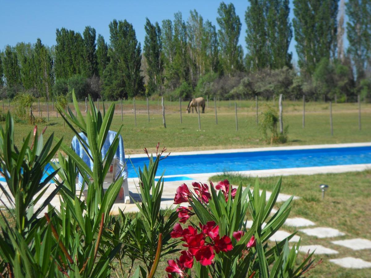 Casa De Campo Las Olivas San Rafael  Zewnętrze zdjęcie