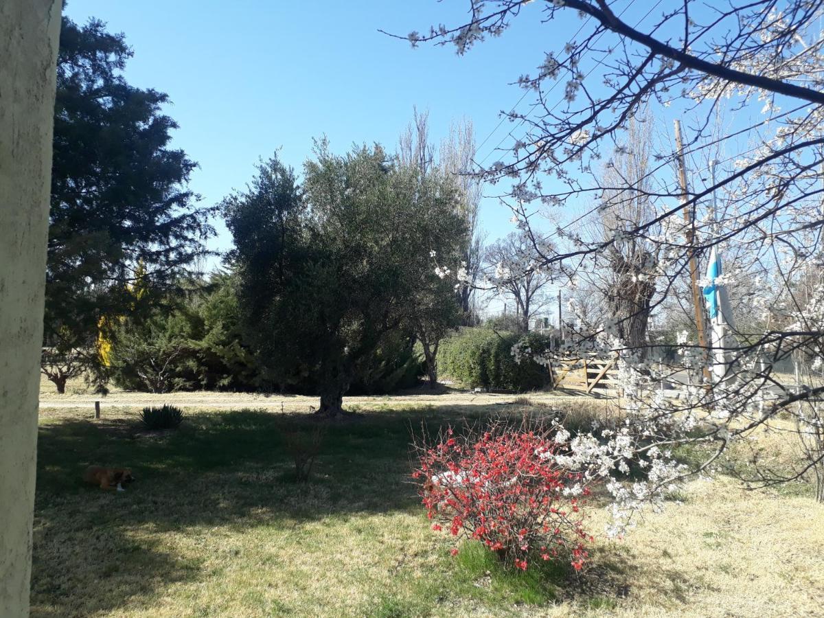 Casa De Campo Las Olivas San Rafael  Zewnętrze zdjęcie
