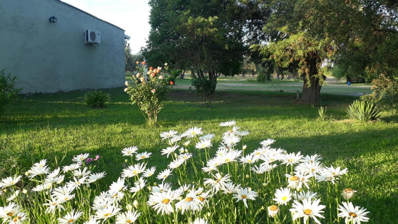 Casa De Campo Las Olivas San Rafael  Zewnętrze zdjęcie