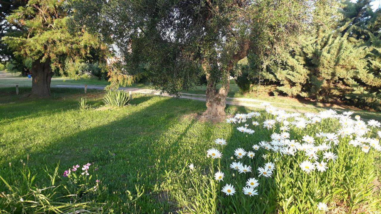 Casa De Campo Las Olivas San Rafael  Zewnętrze zdjęcie