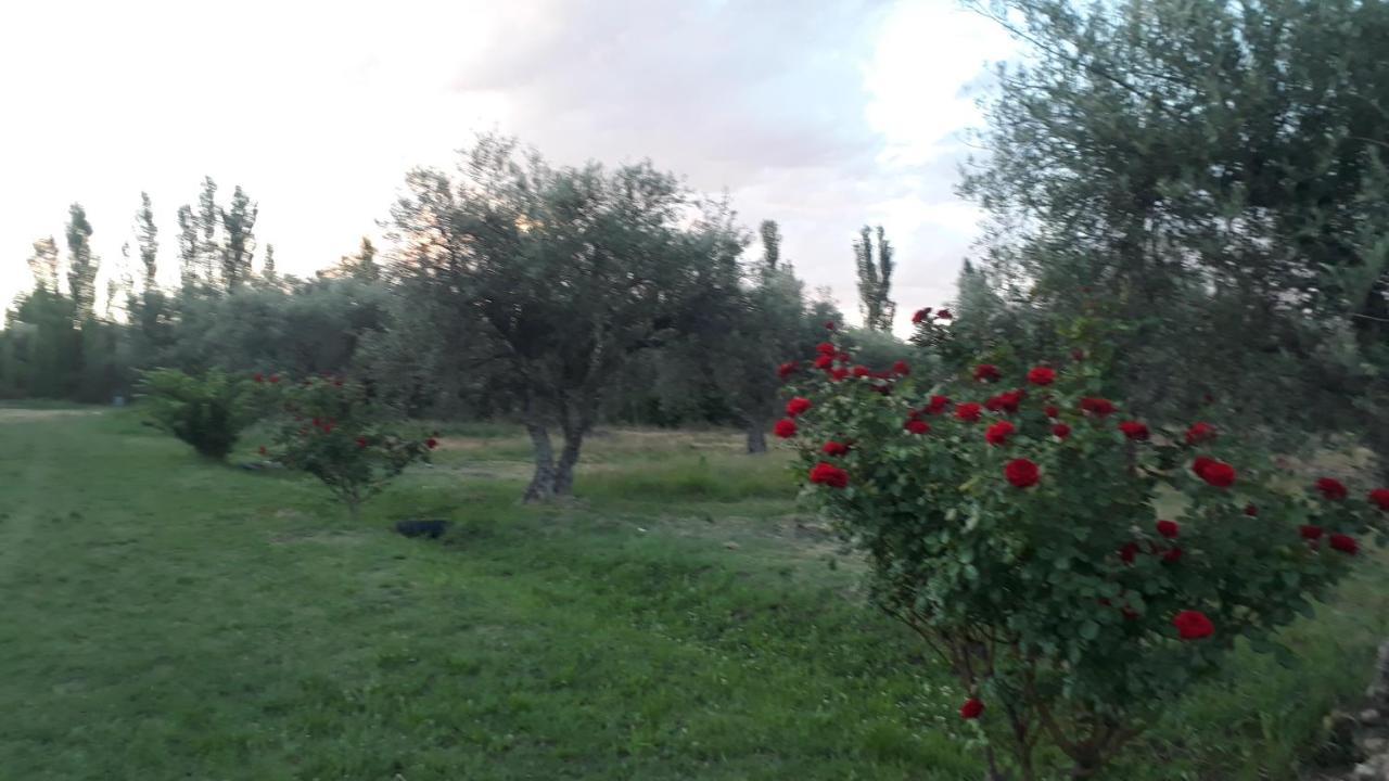 Casa De Campo Las Olivas San Rafael  Zewnętrze zdjęcie