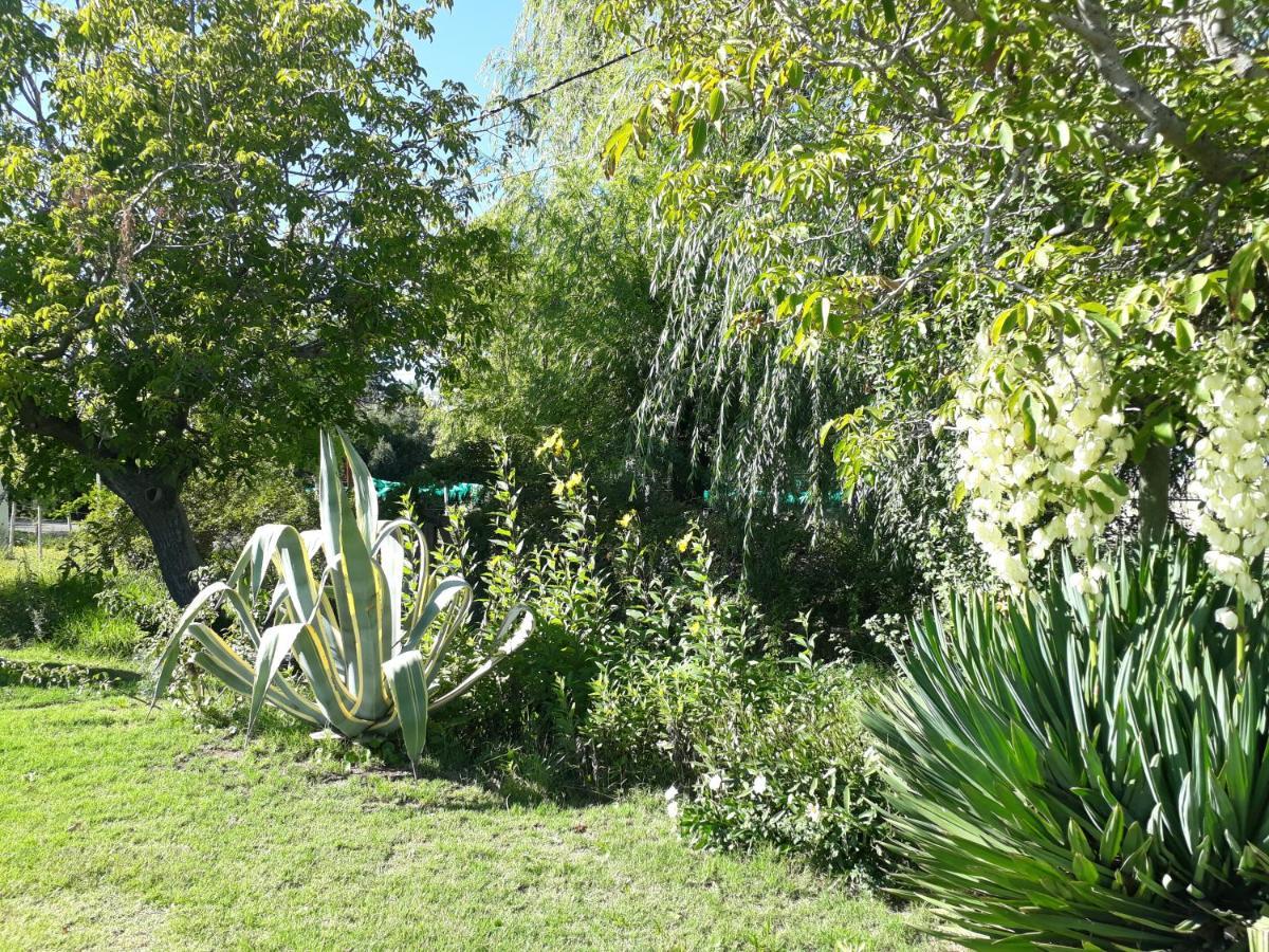 Casa De Campo Las Olivas San Rafael  Zewnętrze zdjęcie