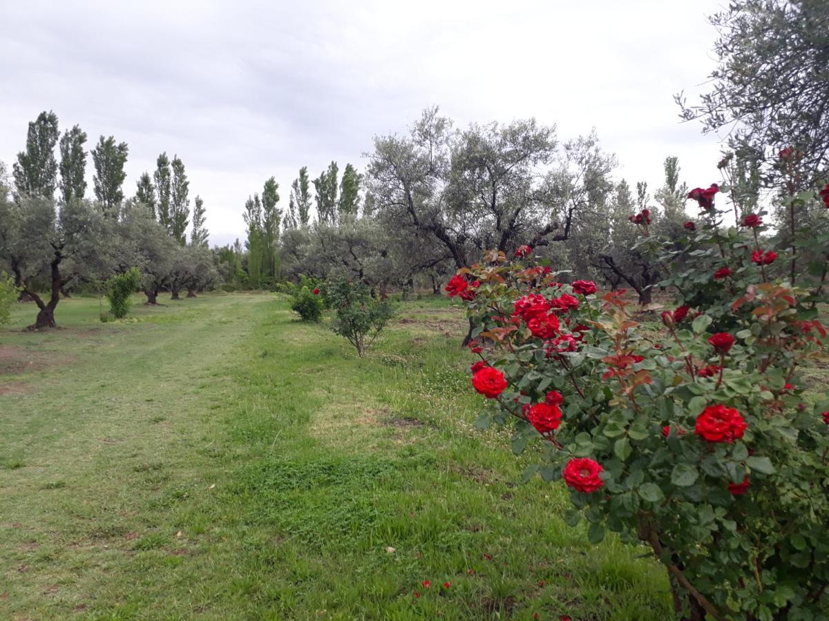 Casa De Campo Las Olivas San Rafael  Zewnętrze zdjęcie